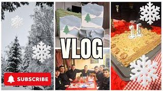 NEDELJNI VLOG︱ Crk'o akumulator, Reforma torta, Druženje kod kume i Vukov rođendan