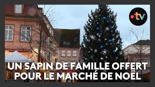 Un sapin de famille vieux de 34 ans offert pour le marché de Noël