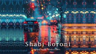 AmeeN  - Shabi Boroni / New Music 2024