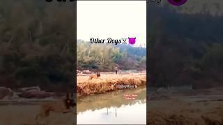 #Don't miss end#dog#dog lover#pets#pet lover#funny#comedy#ytshortvideos#trending#shortfeed#shorts