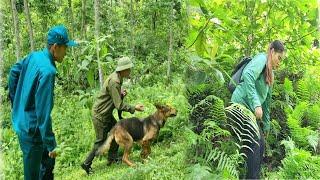 For 20 days, the police used sniffer dogs to chase Ms. Huong in the deep forest