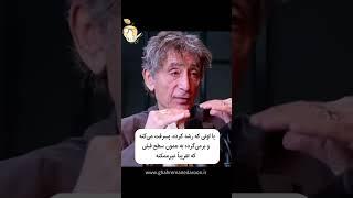 آدم‌ها در سطح یکسانی از رشد عاطفی همدیگرُ ملاقات می‌کنن!