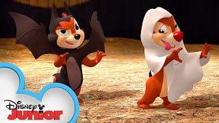 A Nutty Halloween  | Chip 'N Dale's Nutty Tales | Disney Junior