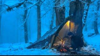 “48 Hours in Deadly Cold – No tent , No Gear! (How Did I Survive?)”