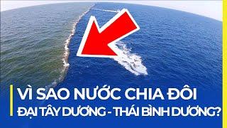 VÌ SAO NƯỚC THÁI BÌNH DƯƠNG - ĐẠI TÂY DƯƠNG TÁCH ĐÔI?