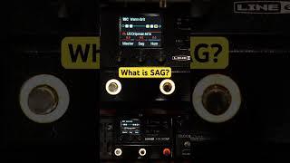 What is SAG? Make AMP Sims more reactive to your playing with this feature #hxstomp #musician #bass