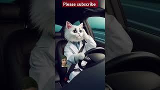 #cartoon #cat #funny #animals #talkingtom #catmeme #song #shortsviral #britishcolumbia #aianimation