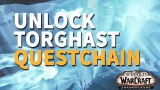 Unlock Torghast Questchain WoW (all quests)