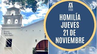 Homilía Jueves 21 Noviembre  2024 - Parroquia Santa María de los Ángeles