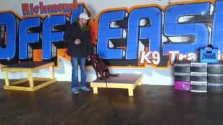 Lessons! | Best Dog Trainers in Richmond! | Richmond Virginia Dog Training