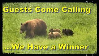 We Have Bears, Heat, and a Winner!