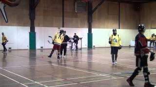 Ball Hockey Fights - Ball Hockey Brawls - Wolverines vs. Pacific Jaguars (Deluxe Version)