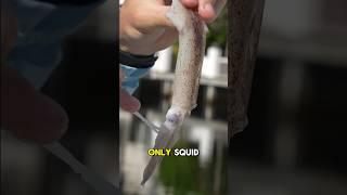 24 Hour Fish Trap  Catches Strange SEA CREATURES For My Saltwater Aquarium 