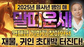 2025년 을사년 말띠운세 이제는 역대급 기회가 찾아와서 재물, 귀인이 들어와 초대박터집니다! 54년생 66년생 78년생 90년생 02년생 말띠 운세