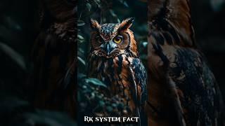 3 Largest owls In The world #youtubeshorts #animalfacts #junglefacts #viralvideo