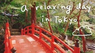 Relaxing Walking Tour in Tokyo  (Koishikawa-Korakuen Garden) | Things To Do In Japan | Rainbowholic