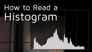 How To Read a Camera Histogram