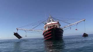 ️¡ASÍ VIVEN LOS PESCADORES EN UN BARCO CAMARONERO!!