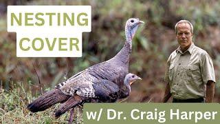 What does wild turkey nesting cover look like?