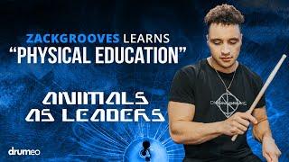 ZackGrooves Learns Animals As Leaders As Fast As Possible