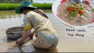 Tiếp tục vô mánh tép đồng về nấu Bánh canh tép đồng mùa khô ngon quá #thanhgiangvlog