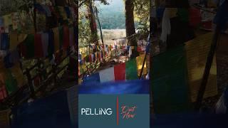 Legends of Khecheopalri Lake || Khechuperi Lake Myths #visitsikkim #travel #pelling #sikkim #viral
