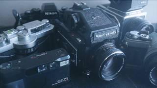 My 2024 in film cameras & photography