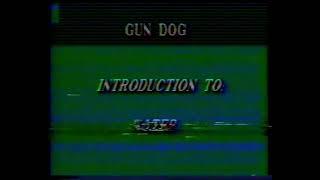 Gun Dog Magazine - Training Pointing Dogs (1986?)