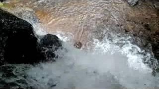 Adyar waterfalls, mangalore.