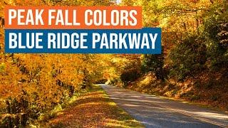 Peak Fall Colors on the Blue Ridge Parkway in NC