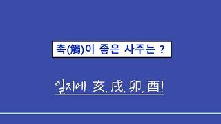 실전사주풀이ㅣ촉이 좋은 사주(미륵보살)