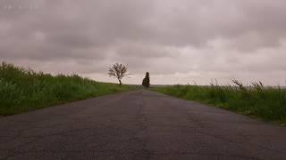 Relaxing Sounds of Light Rain and Soothing Wind Blowing Through Vegetation on an Abandoned Road - 4K