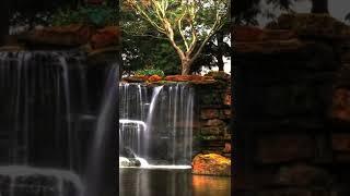 Best Nature scenes in the world | Relaxation | Meditation | Calm | Relax Sound Lab