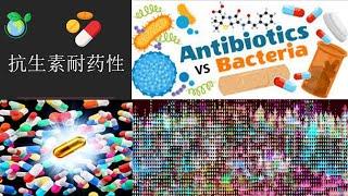 习什么是抗生素简介的视角概述 Introduction to Antibiotics (Chinese) 在四分钟内