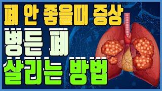 폐 건강하게 하는 방법｜폐 살리는, 좋아지게 하는 운동, 음식, 지압법｜폐 안좋을때 증상, 원인 [하늘건강법]