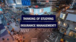 Insurance Management at Humber - See what our alumni have to say about the program