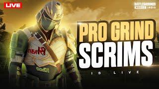 PRO GRAND FINALS IS LIVE | BGMI GRIND SCRIMS | PRO SHOWDOWN | Battlegrounds Mobile India | Hindi