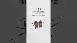 새우 = 바퀴벌레 맛이라고?