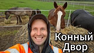 ⭕ Конный двор #serverok #youtube #влогикаждыйдень      