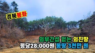 #봉화토지매매 #두메산골외딴토지 #5도2촌주말농장 #봉화자연인땅  봉화군 법전면 외부간섭없는 산촌오지외진땅 농업경영체등록 농촌체험형쉼터 소액땅 싼땅 (봉화-2378)