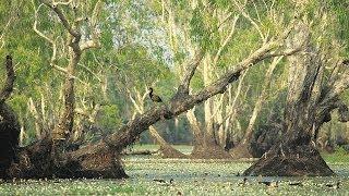 Tour Australia: Kakadu National Park