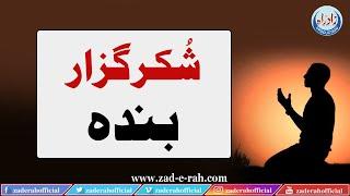 Shukr Guzar Banda | Hikayaat-e-Saadi | Zad-e-Rah Official | 2022