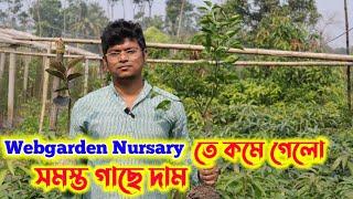 বিশেষ অফারে কমে গেলো Webgarden Nursary তে সমস্ত ফল গাছের দাম | Rongdhanu Garden |