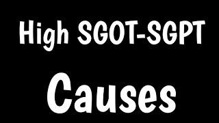 Causes Of High SGOT & SGPT | Normal Range Of SGOT & SGPT |