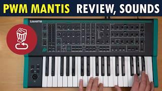 Review: PWM Mantis // Here's what makes it special // Pros, cons and tutorial