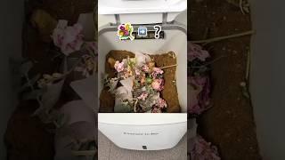 Flower Compost ️ Did It Rot or Survive?