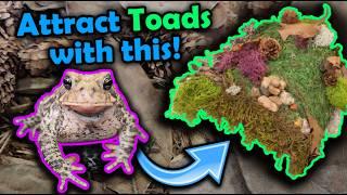 How to Make a Toad House for your Yard!