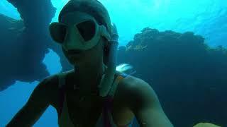 Freediving for Katie's Birthday!! WE SAW 3 SHARKS