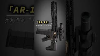 AR-15：步枪界的“私人订制”#步枪#武器装备#武器科普