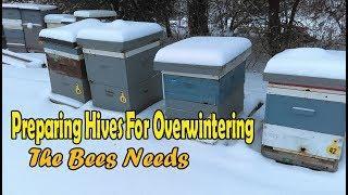 Preparing Bee Hives For Winter / The Bees Needs